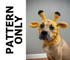 a brown dog wearing a yellow knitted giraffe hat with black spots on it's ears