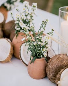 some flowers and coconuts are on a table