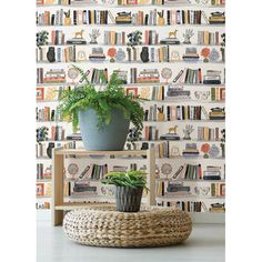 a room with bookshelves full of books and a potted plant