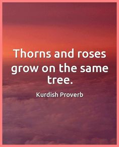 the words thorns and roses grow on the same tree with clouds in the background