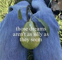 someone is laying down with their feet on the grass and there is a quote about those dreams aren't as silly as they seem