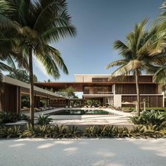 an artist's rendering of the exterior of a modern house surrounded by palm trees