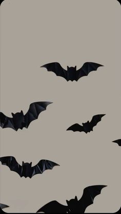 several bats flying in the sky together