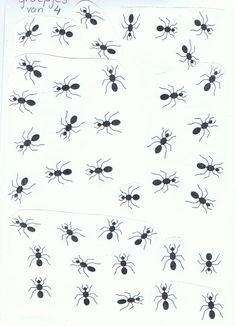 a sheet of black ants on white paper