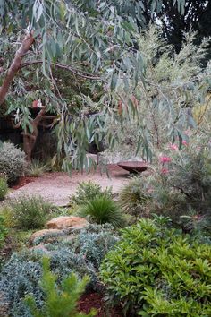 a garden with lots of plants and trees