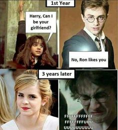 harry potter and hermih are the same person