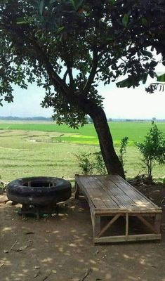 a wooden table sitting under a tree next to a fire pit on top of a dirt field