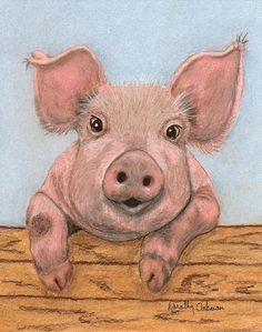 a pastel drawing of a pig on a piece of wood looking over it's shoulder