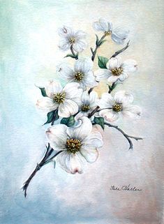 a painting of white flowers on a blue background