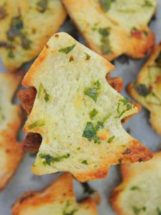 small crackers with cheese and herbs on them