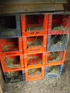 crates filled with hay and bales sitting on the ground