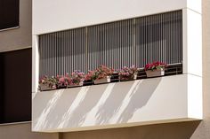 flowers are growing on the windowsills of an apartment building