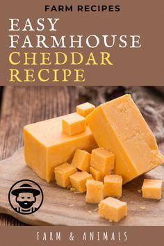 the cover of farm recipes easy farmhouse - style cheddar recipe, with cubes of cheese next to it