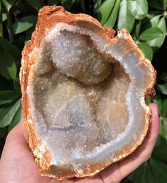 The product offered is Natural Agate Geode Stone. Gemstone: Agate Geode Stone Shape: Irregular Size(mm): 91x135x123 mm Weight:957 g Quantity: 1 piece Color: Transparent 1 in=25.4 mm 1 lb=453.59 g This item can be used as a Special art decoration for your home ,office or business, or as a special gift. If you need other size,please contact us,any size can be customized. If you want to see more goods, please click here. https://www.etsy.com/shop/CHMineralCollection?ref=hdr_shop_men Payment I curre Spiritual Agate Geodes Gift, Spiritual Agate Geodes As Gifts, Agate Natural Stone Crystal As A Gift, Agate Natural Stones Crystals As Gift, Spiritual Agate Geodes With Natural Stones, Natural Agate Crystal Stones As Gift, Agate Crystal With Natural Stones For Gift, Unique Agate Geodes For Gift, Large Agate Geode For Spiritual Purposes