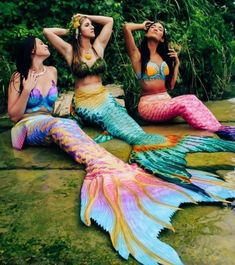 For my Mers that love the bling! This is a made to order waterproof bra customized to match your tail! Please contact me before ordering :) Shell Bra, Little Mermaid Costume, Mermaid Photography, Mermaid Bra, Bra Photos, Mermaid Stuff, Unedited Photos, Womens Costumes, Star Show