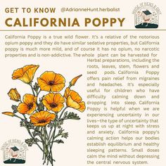 an advertisement for california poppys with the caption'get to know about them '