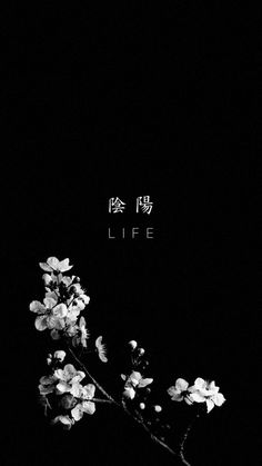 a black and white photo with the words life written in chinese on it's side