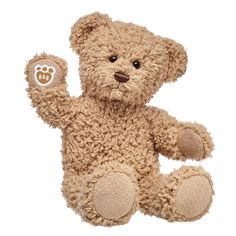 a brown teddy bear sitting up against a white background