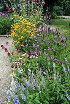 a garden filled with lots of different types of flowers