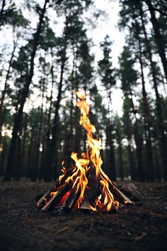 a campfire in the middle of a forest with lots of fire burning on it