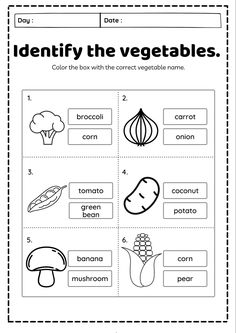 the worksheet for identifying vegetables