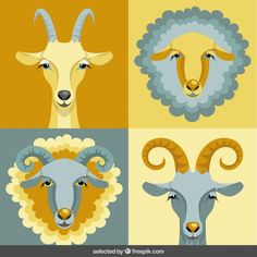 four different types of rams with horns