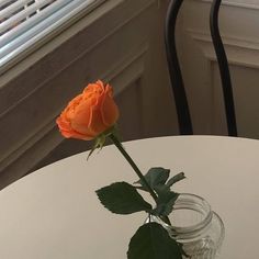 an orange rose in a glass vase on a white table with a window behind it