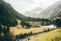 a small village in the middle of a mountain valley with trees and mountains behind it