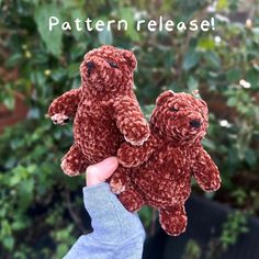 a hand holding two brown teddy bears in front of some trees and bushes with the words pattern release written on it