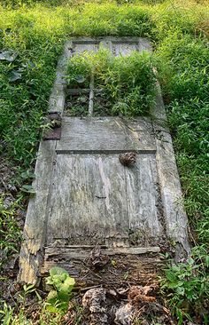 an old wooden door sitting in the grass