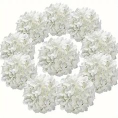 white flowers arranged in a circle on a white background