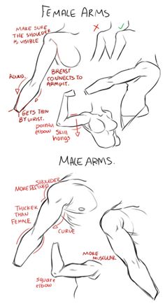 how to draw female arms and legs