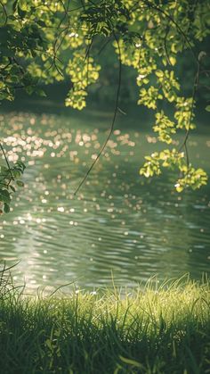 the sun shines on the water and green grass by the lake's edge