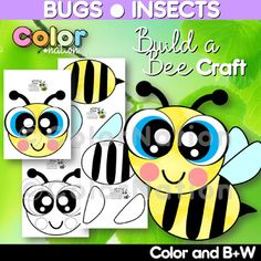 the color and b - w bug insect is shown in three different colors