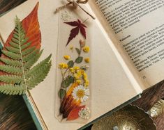 an open book with dried flowers and leaves on it