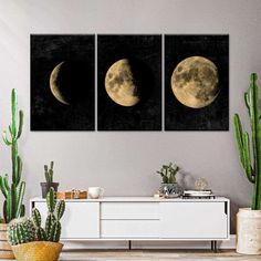 three pictures of the moon on a wall in a room with cacti and potted plants