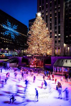 people skating around an ice rink in front of a christmas tree