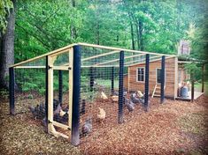 an outdoor chicken coop with chickens in it