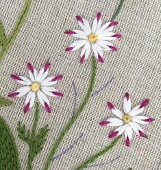 some white and pink flowers are on a piece of fabric with green stems in the middle