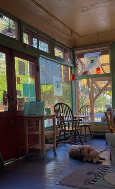 there is a dog laying on the floor in front of some chairs and tables with large windows