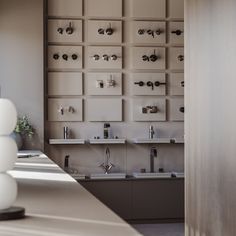 a room with several sinks and shelves on the wall