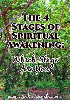 Awakening Stages, Spiritual Awakening Stages, Spiritual Awakening Signs, A Course In Miracles, States Of Consciousness, Psychic Development, Spiritual Guidance, Spiritual Life, Spiritual Healing