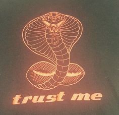 a lit up t - shirt with an image of a snake on it