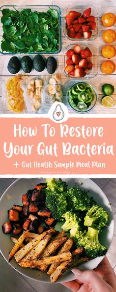 Heal My Gut, Healthy Gut Diet, Gut Healing Diet, Healthy Gut Recipes, Healing Diet, Gut Health Diet, Gut Healing Recipes, Gut Health Recipes, Sample Meal Plan