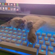 a cat laying on top of a computer keyboard with its eyes closed and it's head resting on the keys