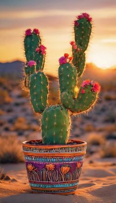 a cactus in a pot with the sun setting behind it and some pink flowers on top