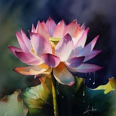 a large pink flower sitting on top of a green leaf