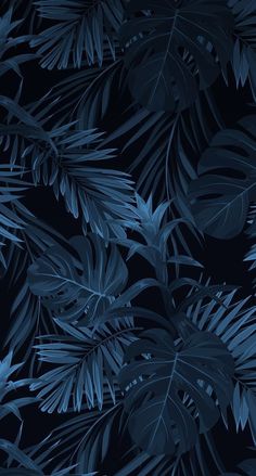 blue tropical leaves on a black background