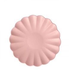 a pink scallop on a white background