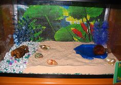 a fish tank filled with sand and rocks next to plants on the side of it